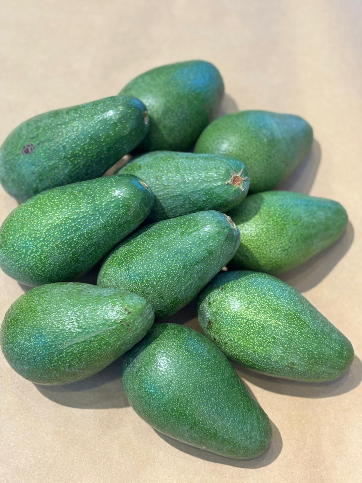 SADE VE DOĞAL: BAHÇEDEN AVOKADOLAR