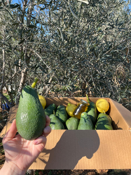 5'li GURME, Sezon Sonu Deneyim Seti