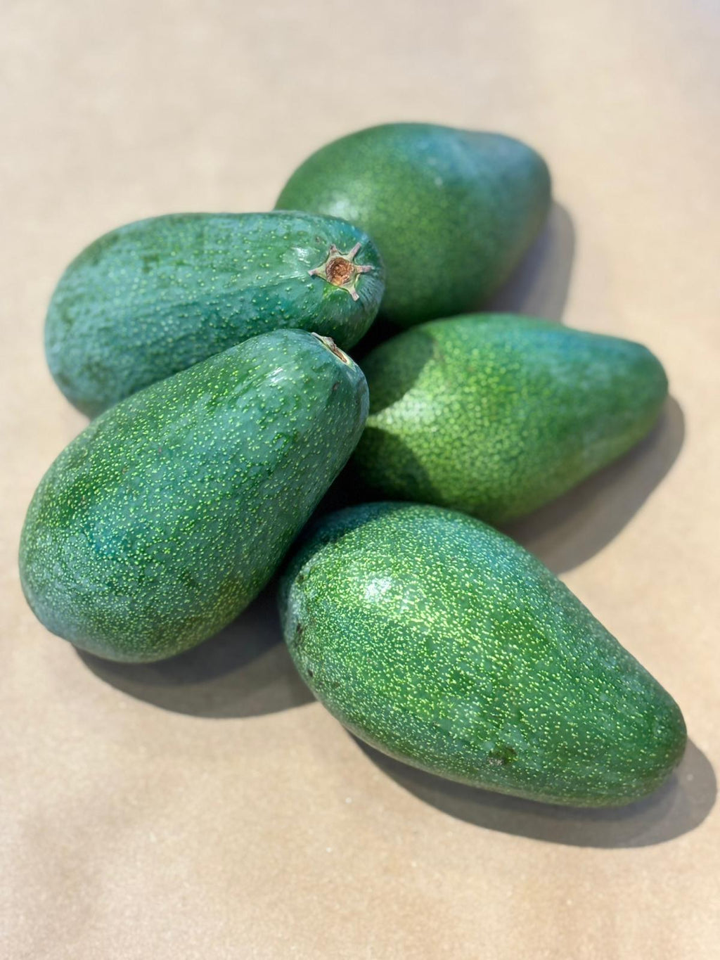 5'Lİ SADE, Tanışma Paketi