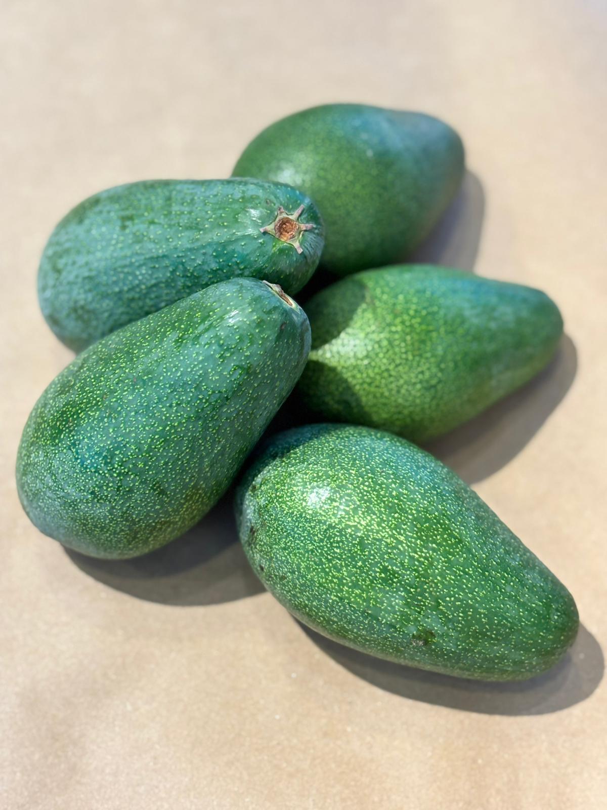 5'Lİ SADE, Tanışma Paketi