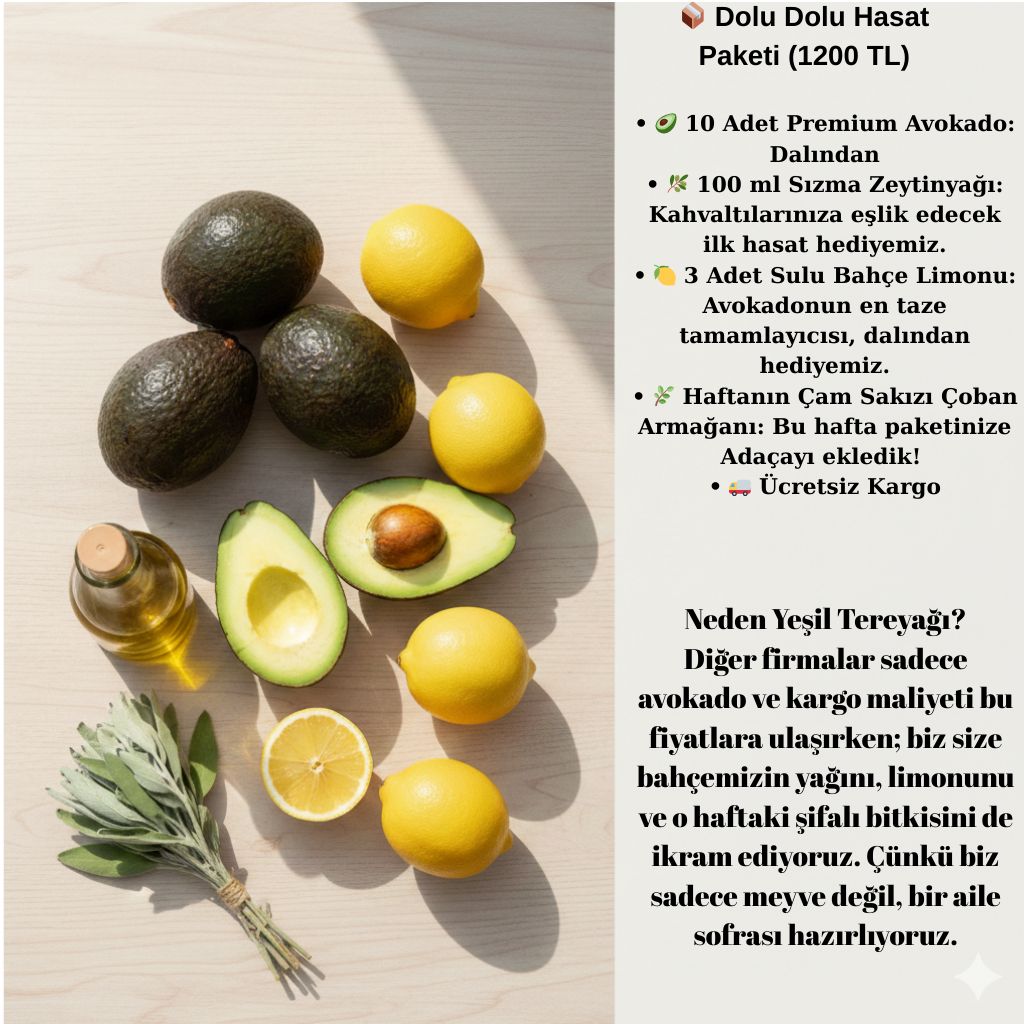 10'LU GURME AVOKADO PAKETİ(ZEYTİN YAĞI & LİMON HEDİYELİ)