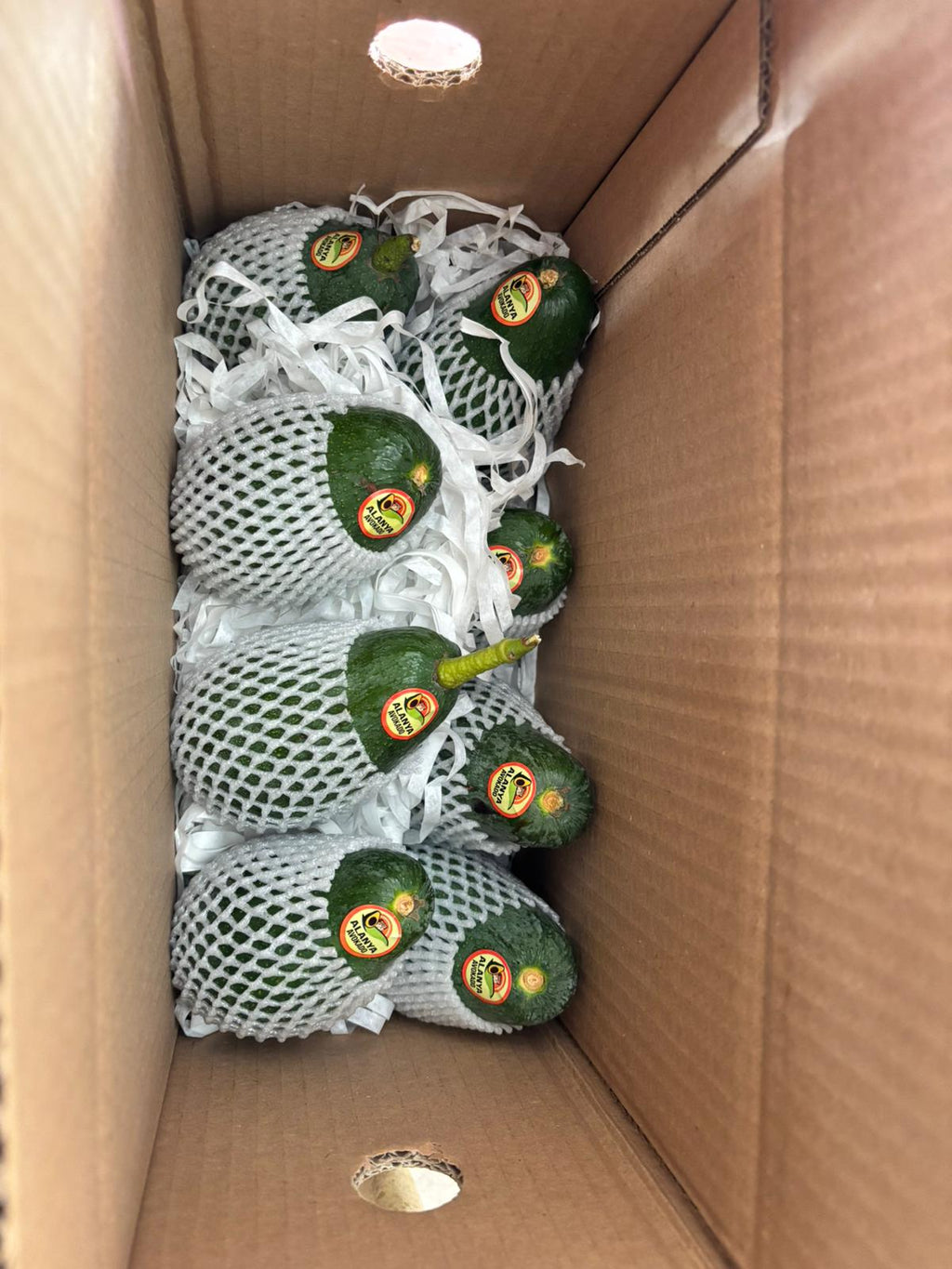 5'Lİ SADE, Tanışma Paketi