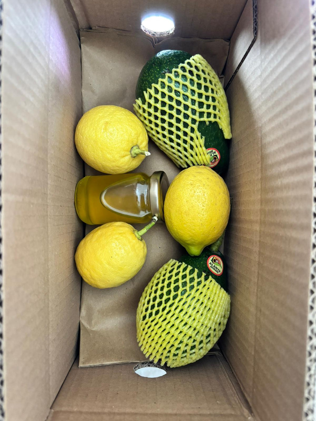 10'LU GURME AVOKADO PAKETİ(ZEYTİN YAĞI & LİMON HEDİYELİ)