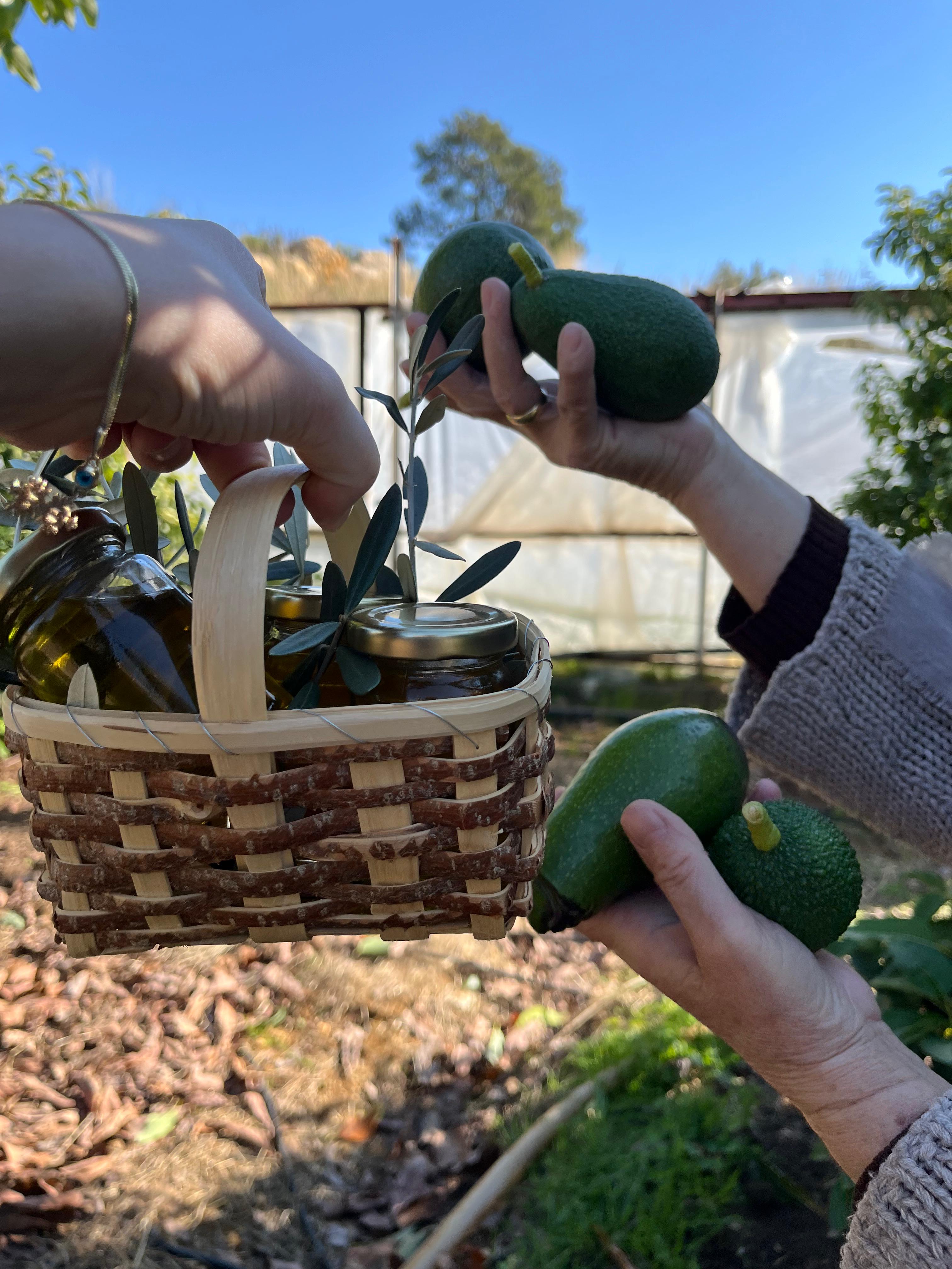 10'LU GURME AVOKADO PAKETİ(ZEYTİN YAĞI & LİMON HEDİYELİ)